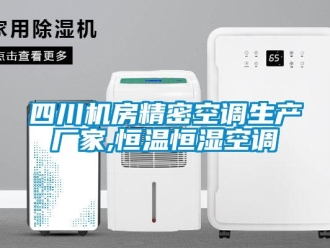知识百科四川机房精密空调生产厂家,恒温恒湿空调