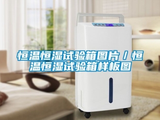 知识百科恒温恒湿试验箱图片／恒温恒湿试验箱样板图