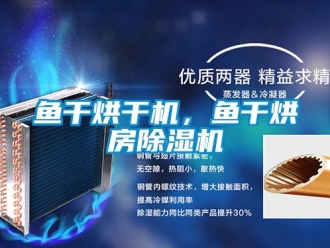 行业新闻鱼干烘干机，鱼干烘房除湿机
