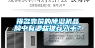 排名靠前的除湿机品牌中有哪些推荐入手？