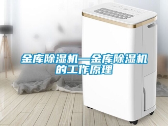 行业新闻金库除湿机—金库除湿机的工作原理