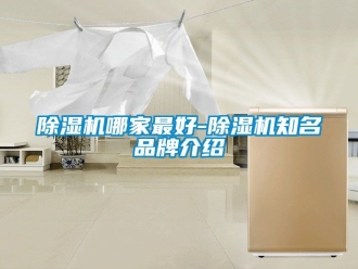 企业新闻除湿机哪家最好-除湿机知名品牌介绍