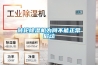 转轮除湿机为何不能正常启动