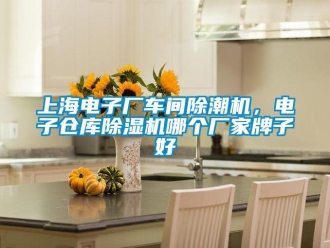 企业新闻上海电子厂车间除潮机，电子仓库除湿机哪个厂家牌子好