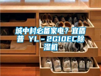 企业新闻城中村必备家电？宜盾普 YL–2G10EC除湿机
