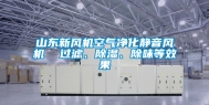 山东新风机空气净化静音风机  过滤、除湿、除味等效果