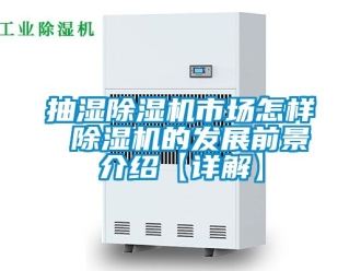 企业新闻抽湿除湿机市场怎样 除湿机的发展前景介绍【详解】