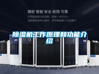 行业新闻除湿机工作原理和功能介绍