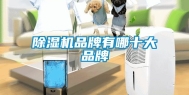 除湿机品牌有哪十大品牌