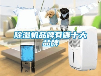 企业新闻除湿机品牌有哪十大品牌
