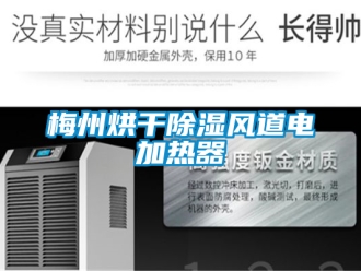 行业新闻梅州烘干除湿风道电加热器