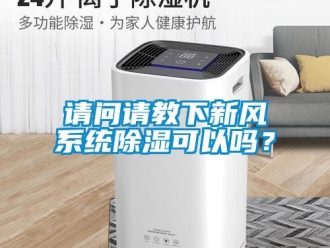 行业新闻请问请教下新风系统除湿可以吗？