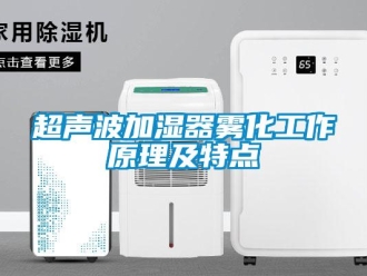 企业新闻超声波加湿器雾化工作原理及特点