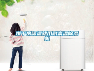 行业新闻烘干房除湿就用耐高温除湿机