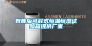 智能版可程式恒温恒湿试验箱提供厂家