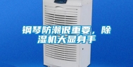 钢琴防潮很重要，除湿机大显身手