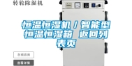恒温恒湿机／智能型恒温恒湿箱 返回列表页