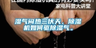 湿气闷热三伏天，除湿机如何驱除湿气。