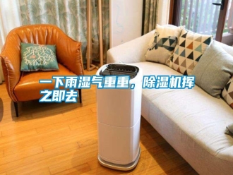 知识百科一下雨湿气重重，除湿机挥之即去