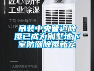 企业新闻吊装中央管道除湿已成为别墅地下室防潮除湿新宠
