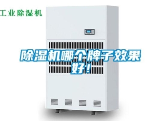常见问题除湿机哪个牌子效果好！