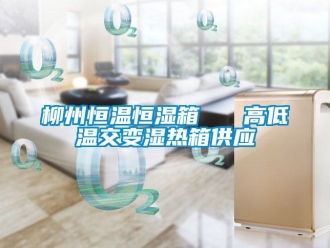 知识百科柳州恒温恒湿箱   高低温交变湿热箱供应