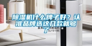 除湿机什么牌子好？认准品牌选这几款就够了