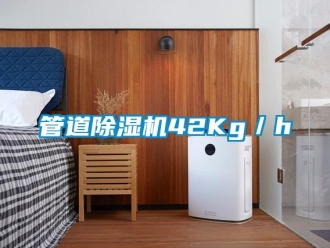 行业新闻管道除湿机42Kg／h
