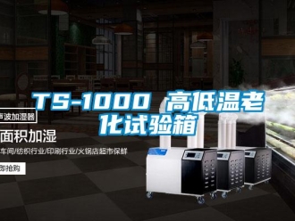 常见问题TS-1000 高低温老化试验箱