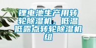 锂电池生产用转轮除湿机，低温低露点转轮除湿机组