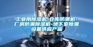 工业用除湿机-仓库防潮机-厂房防潮除湿机-地下室除潮设备供应产品