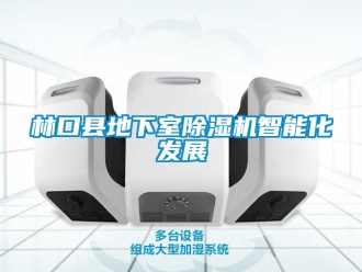 行业新闻林口县地下室除湿机智能化发展