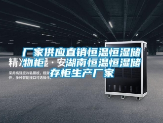 知识百科厂家供应直销恒温恒湿储物柜   湖南恒温恒湿储存柜生产厂家