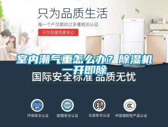 常见问题室内潮气重怎么办？除湿机一开即除