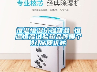 知识百科恒温恒湿试验箱品 恒温恒湿试验箱品牌哪个好,品质优越