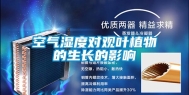 空气湿度对观叶植物的生长的影响