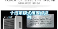 十堰吊顶式恒温恒湿机