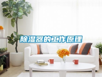 企业新闻除湿器的工作原理