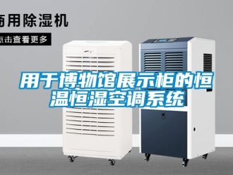 知识百科用于博物馆展示柜的恒温恒湿空调系统