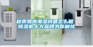 秋雨如晦潮湿问题怎么破 除湿机十大品牌为你解忧