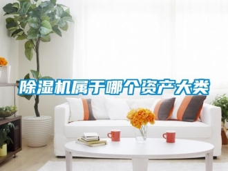 行业新闻除湿机属于哪个资产大类