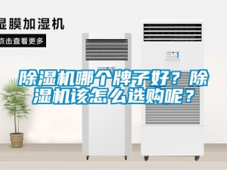 行业新闻除湿机哪个牌子好？除湿机该怎么选购呢？
