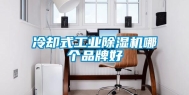冷却式工业除湿机哪个品牌好