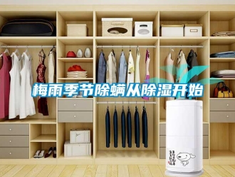 行业新闻梅雨季节除螨从除湿开始