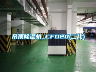 行业新闻吊顶除湿机_CFD20(二代)