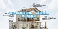 电子恒温恒湿柜  恒温恒湿柜 防潮柜