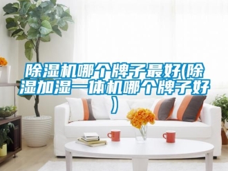 行业新闻除湿机哪个牌子最好(除湿加湿一体机哪个牌子好)