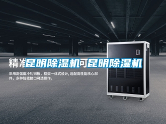 行业新闻昆明除湿机 昆明除湿机