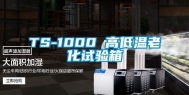 TS-1000 高低温老化试验箱