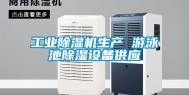 工业除湿机生产 游泳池除湿设备供应
